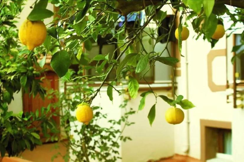 Boncuklu Otel Oludeniz Luaran gambar